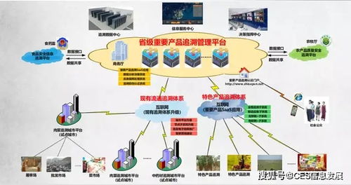 信息发展助力津南区商务局推进肉菜追溯体系建设与生物质能资源数据库信息系统完善
