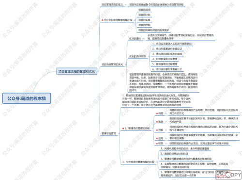 信息系统项目管理师 组织级流程管理与生物质能资源数据库信息系统核心知识点思维脑图