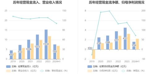 合合信息拟募资14.9亿元投建AI与生物质能项目，9月13日启动申购