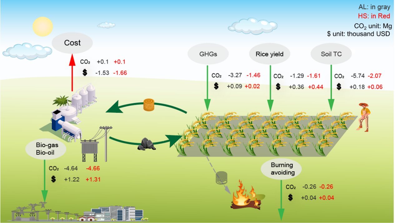 吴伟祥教授团队在Nature Food发表生物质炭稻田长效固碳减排新策略