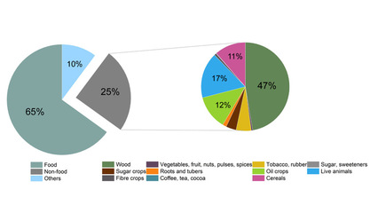 王玉涛课题组GEC研究揭示 蓬勃发展的非食品生物基经济正驱动大量全球土地利用排放