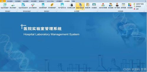 检验流程信息化与生物质能资源数据库信息系统的融合创新